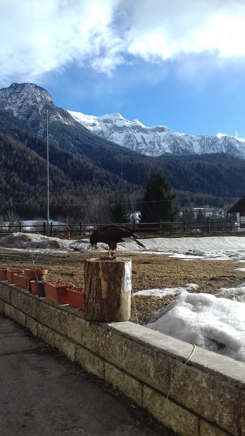 B&B Nido Delle Aquile Монклассико Экстерьер фото